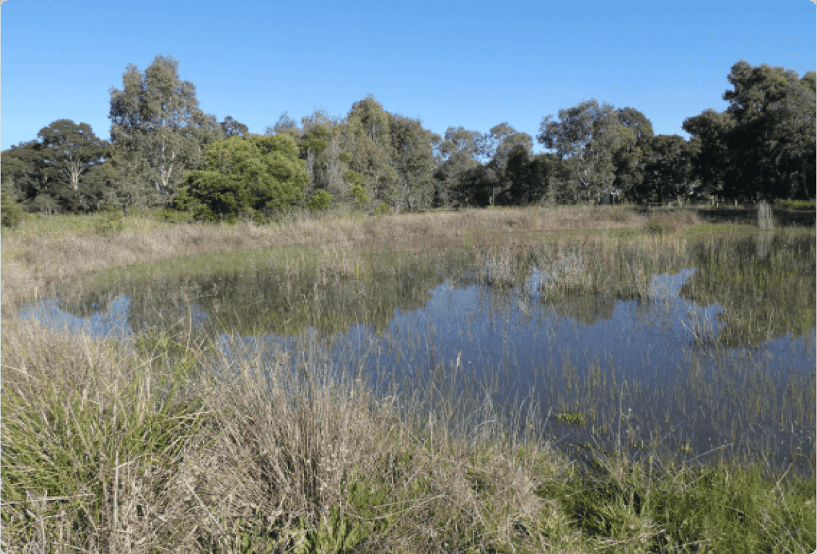 Western Port Water Stewardship Project waterway